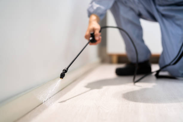 Licensed Termite Control service in Suquamish, WA - Nex Pest Control
