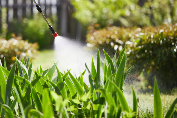 24/7 Emergency Termite Control experts in Suquamish, WA