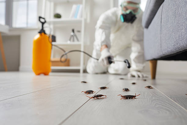 Trusted Termite Control service in Suquamish, WA - Nex Pest Control