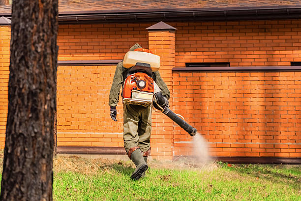 Trusted Ant Control service in Suquamish, WA - Nex Pest Control